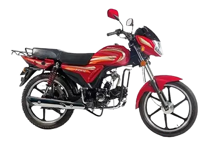 Roadmaster Prime 100